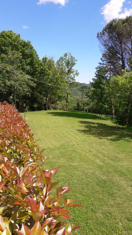 Bed & Breakfast Oasi